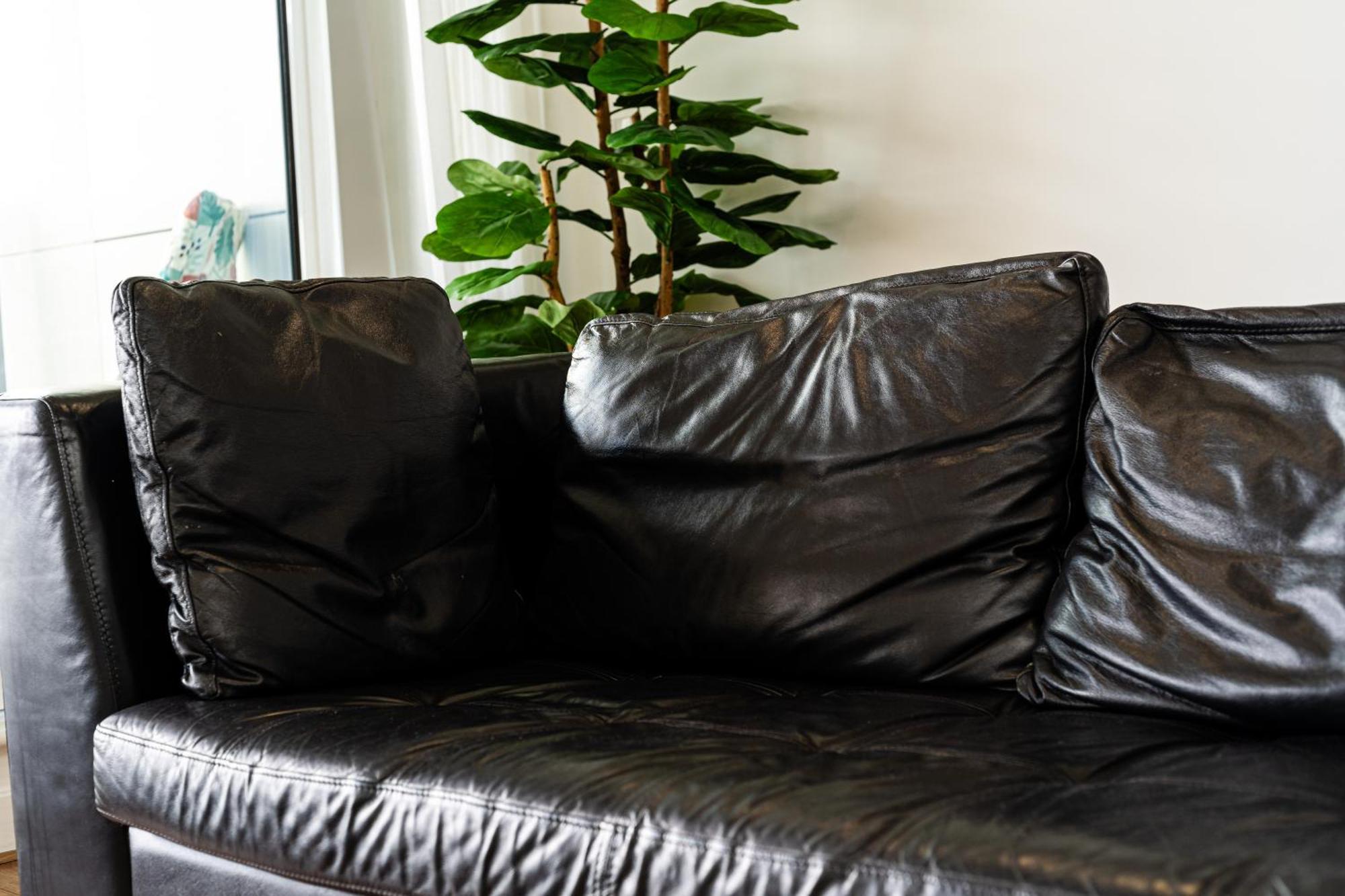 Excel London Majestic Apartment מראה חיצוני תמונה